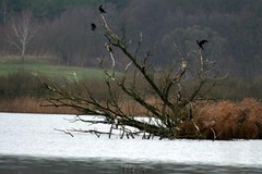 Killikus&reg; Fotographie